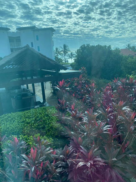 Luxury Apartment, Perfect Location - Accommodation Mount Tamborine 3