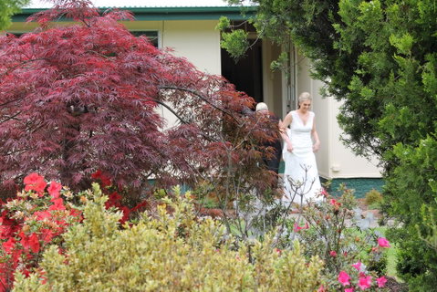 Lynrose Place - Accommodation Mount Tamborine 2