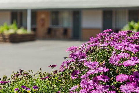 Maffra Motor Inn - Accommodation Mount Tamborine 2