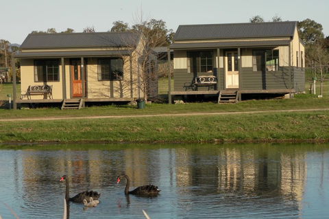 Mansfield Holiday Park - Accommodation Mount Tamborine 1