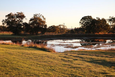 Maric Park Cottages - Accommodation Mount Tamborine 2