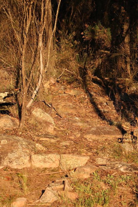 Maric Park Cottages - Accommodation Mount Tamborine 3