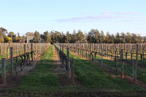 Milawa Vineyard Views - Guesthouse 1 - Accommodation Mount Tamborine 1