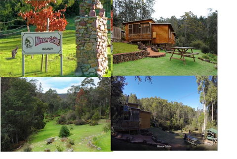 Minnow Cabins Lower Beulah - Accommodation Mount Tamborine 1