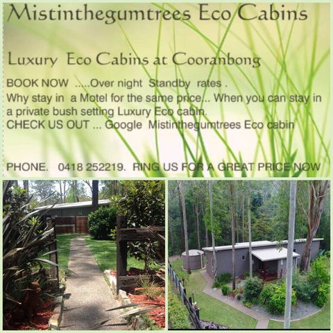 Mistinthegumtrees Eco Luxury Cabins - Accommodation Mount Tamborine 3