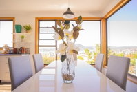 Book Derwent Park Accommodation Vacations Accommodation Mount Tamborine Accommodation Mount Tamborine
