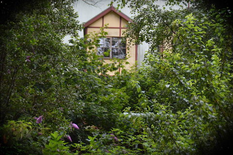 Mountain Lodge - Accommodation Mount Tamborine 1