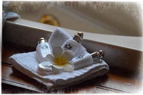 Mountain Lodge - Accommodation Mount Tamborine 3