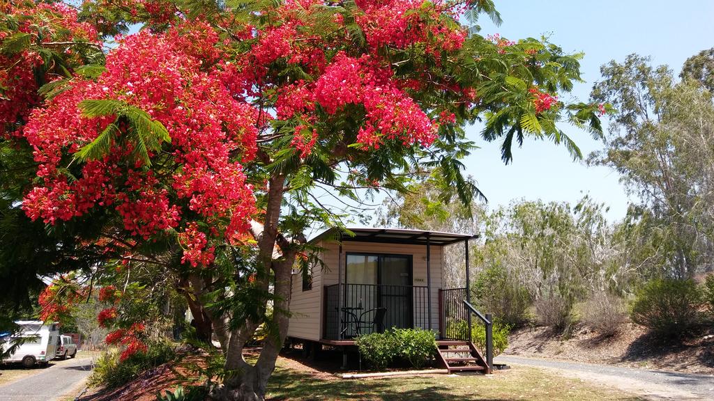 Ambrose QLD Accommodation Mount Tamborine