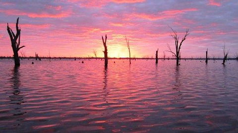 Mulwala Lakeside Apartment - Accommodation Mount Tamborine 2