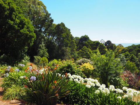 Murrindindi - Accommodation Mount Tamborine 0