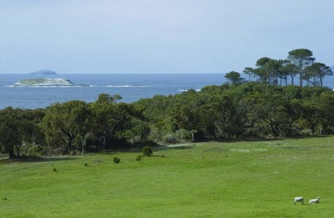 Cosy Corner Sea View Apartments - Accommodation Mount Tamborine 7