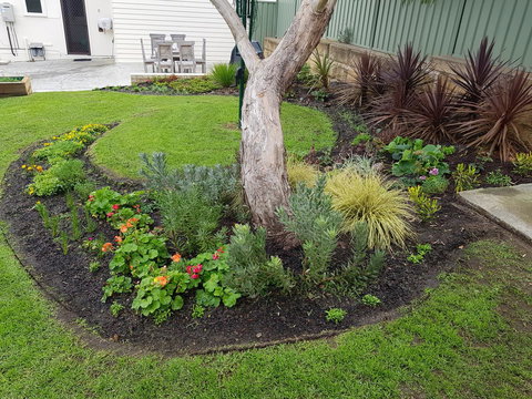 Spencer Cottage - Accommodation Mount Tamborine 2