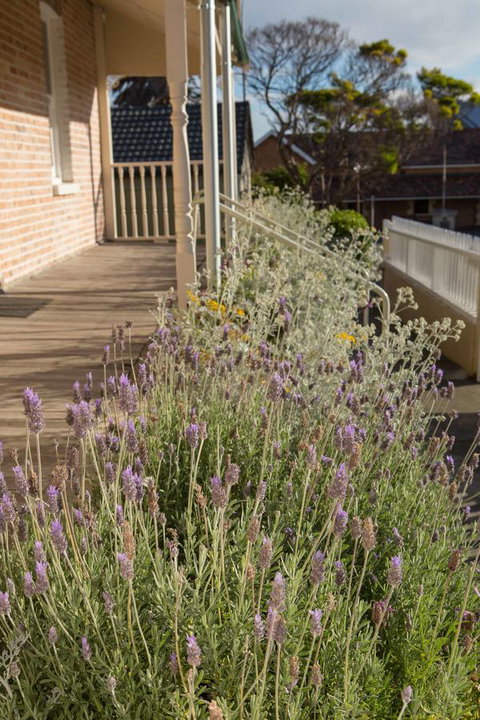 Spencer Cottage - Accommodation Mount Tamborine 11