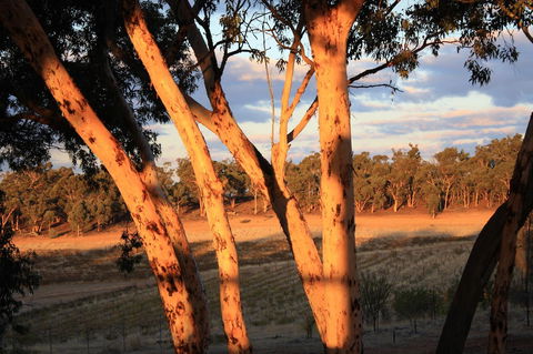 Hotham Ridge Estate - Accommodation Mount Tamborine 30