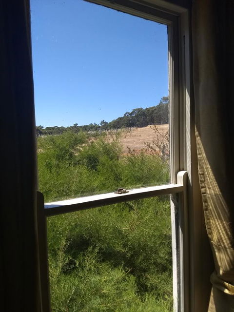 Hotham Ridge Estate - Accommodation Mount Tamborine 8