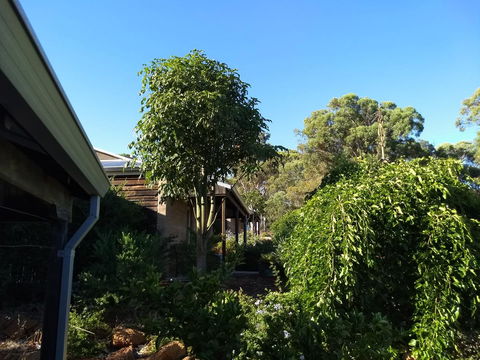 Hotham Ridge Estate - Accommodation Mount Tamborine 5