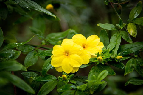 Riverglen Chalets - Accommodation Mount Tamborine 44