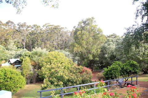 Riverglen Chalets - Accommodation Mount Tamborine 10