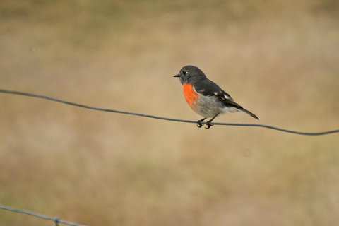 Riverglen Chalets - Accommodation Mount Tamborine 43