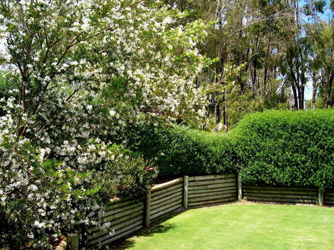 Bayside Villas - Accommodation Mount Tamborine 34