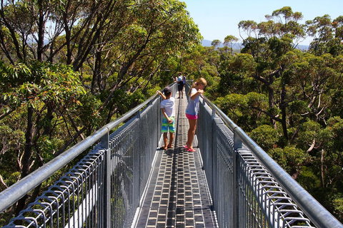Bayside Villas - Accommodation Mount Tamborine 16