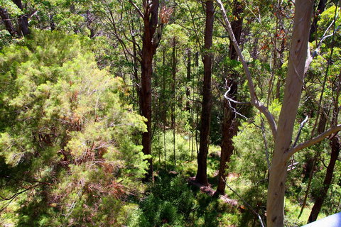 Bayside Villas - Accommodation Mount Tamborine 5