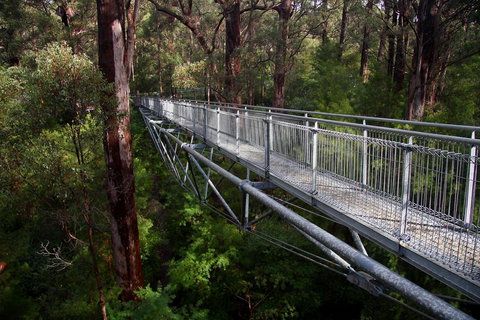 Bayside Villas - Accommodation Mount Tamborine 11