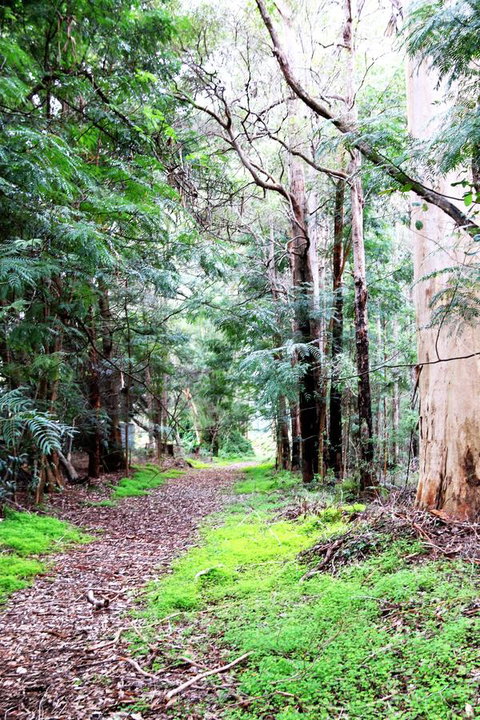 Treenbrook Cottages - Accommodation Mount Tamborine 12