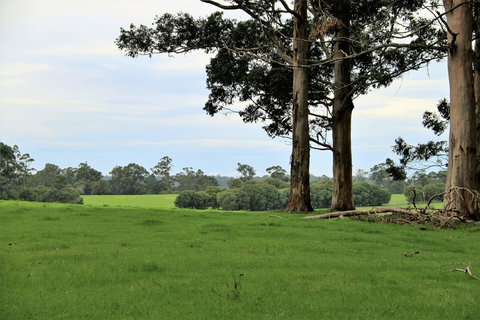 Treenbrook Cottages - Accommodation Mount Tamborine 11