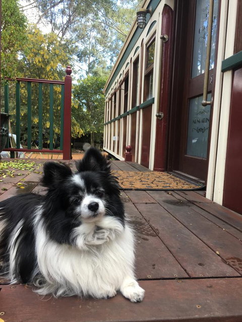 Quiet Escapes Cottages - Accommodation Mount Tamborine 15