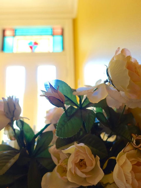 The Blacksmiths Cottage - Accommodation Mount Tamborine 16