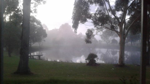 Abbivale Farm Cottage - Accommodation Mount Tamborine 18