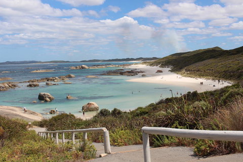 Abbivale Farm Cottage - Accommodation Mount Tamborine 19