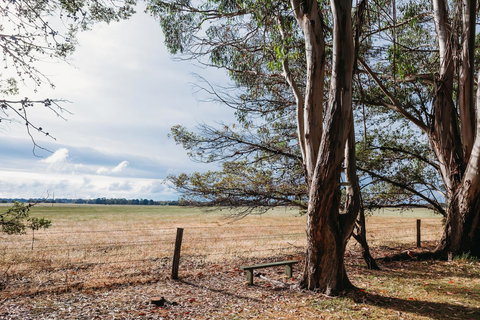Margaret River Holiday Cottages - Accommodation Mount Tamborine 22