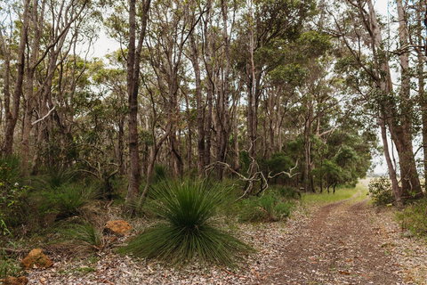 Margaret River Holiday Cottages - Accommodation Mount Tamborine 31