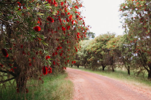 Margaret River Holiday Cottages - Accommodation Mount Tamborine 17