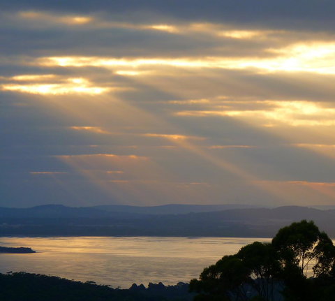 Innisfree Mountain Retreat - Accommodation Mount Tamborine 11