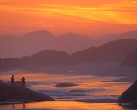 Innisfree Mountain Retreat - Accommodation Mount Tamborine 9