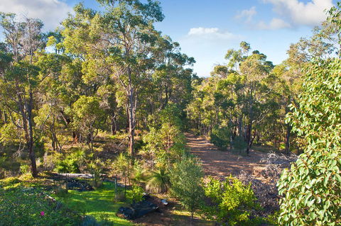 A Hidden Bush Delight - Accommodation Mount Tamborine 30