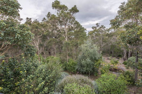 A Hidden Bush Delight - Accommodation Mount Tamborine 7