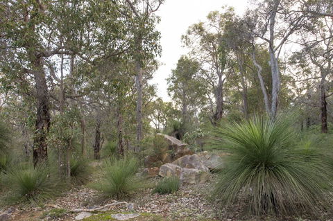 A Hidden Bush Delight - Accommodation Mount Tamborine 23