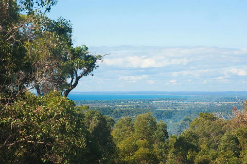 A Hidden Bush Delight - Accommodation Mount Tamborine 31