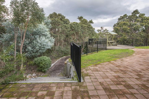 A Hidden Bush Delight - Accommodation Mount Tamborine 9