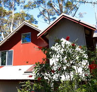Pelicans at Denmark - Accommodation Mount Tamborine
