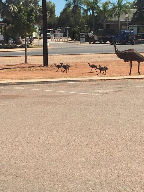 Exmouth 4 Escape - Accommodation Mount Tamborine 22