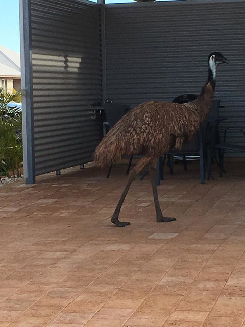 Exmouth 4 Escape - Accommodation Mount Tamborine 23