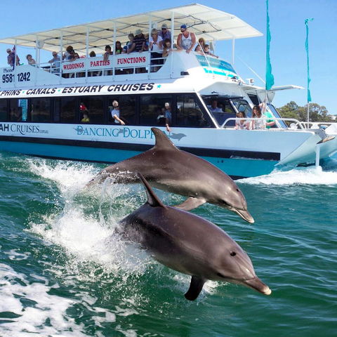 Mandurah Coastal Holiday Park - Accommodation Mount Tamborine 0