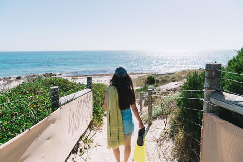 Sun Studio - Accommodation Mount Tamborine 0