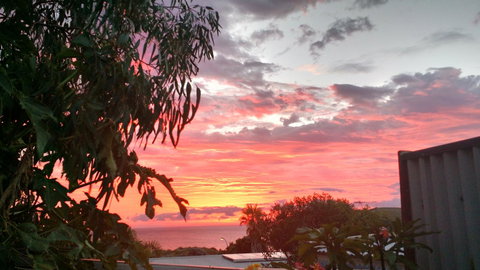 Sun Studio - Accommodation Mount Tamborine 34